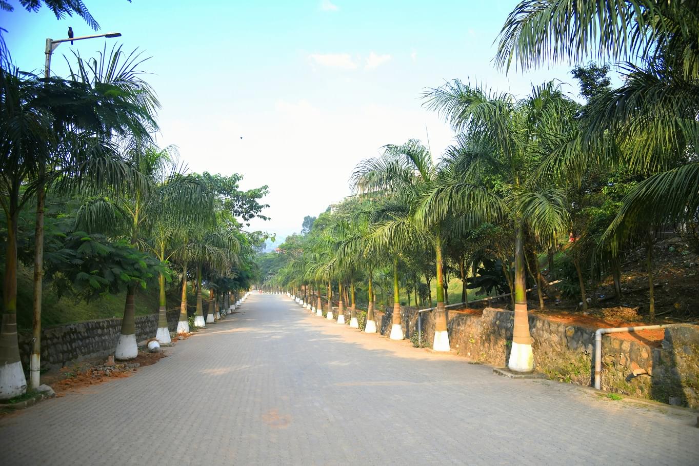 USTM campus pictures photo 22